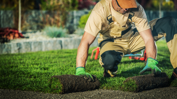 Effective Marketing Strategies for Your Local Lawn Care Business